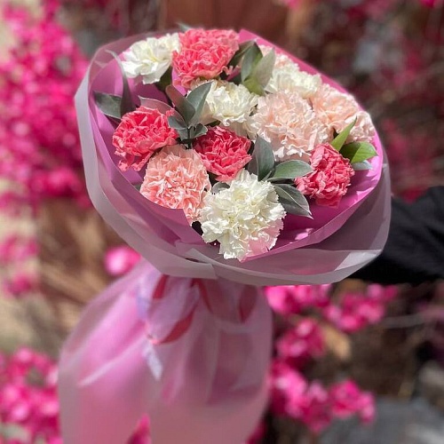 Моно букет из 13 диантусов