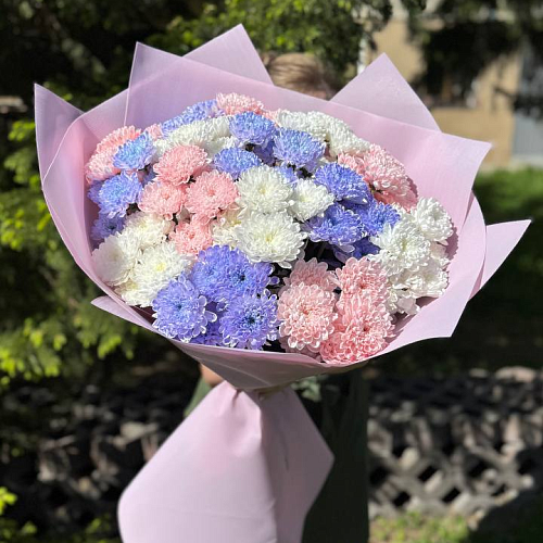 15 хризантем в упаковке 