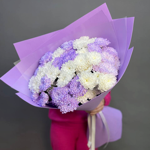 13 веток хризантем