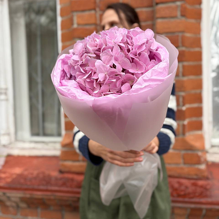 Монобукет с гортензией