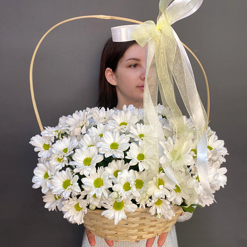 Хризантемы в корзине