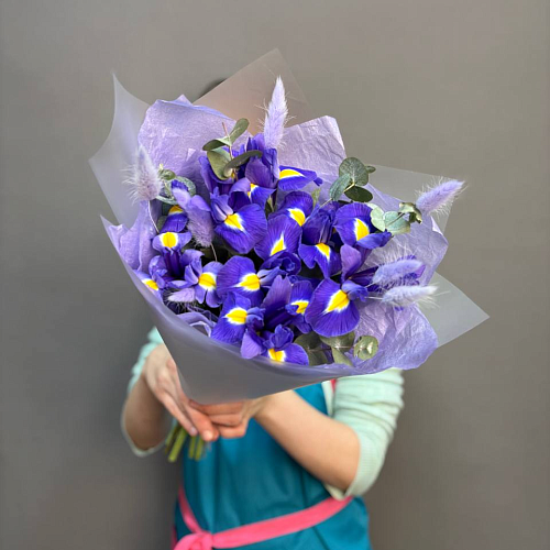 Ночное сияние 