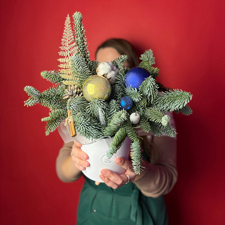 Снежная коробочка