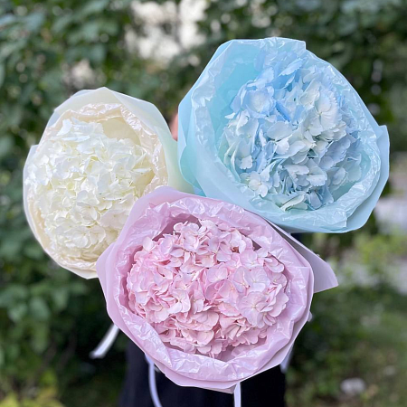 Монобукет с гортензией