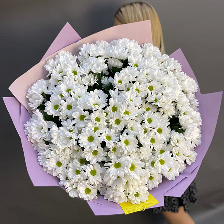 Хризантема 29 шт