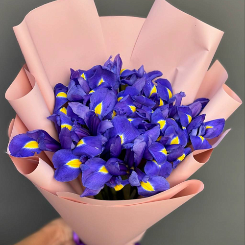 17 шт ирисов в упаковке