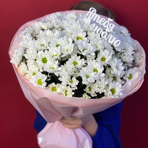 Кругляш из хризантем 13 шт