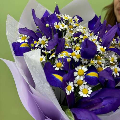 Вечерняя полянка