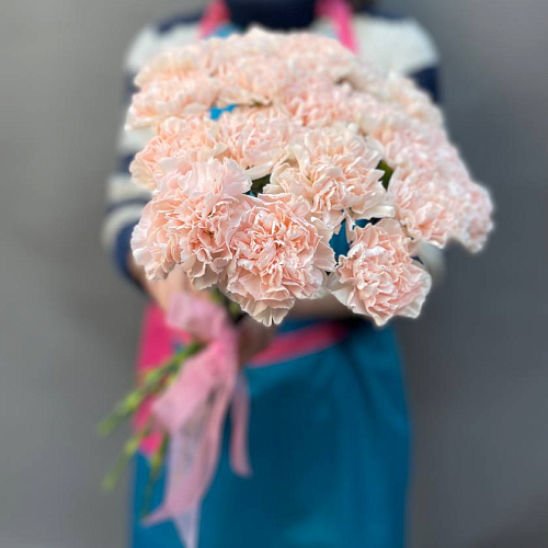 21 диантус под ленту