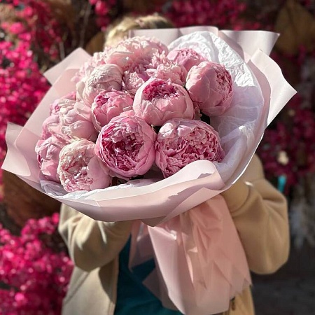 17 пионов в упаковке