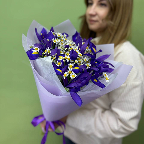 Вечерняя полянка