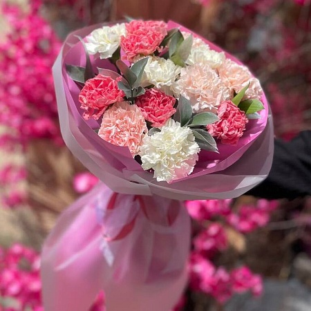 Моно букет из 13 диантусов